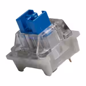 Outemu Dustproof Blue