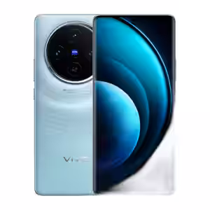 Vivo X100